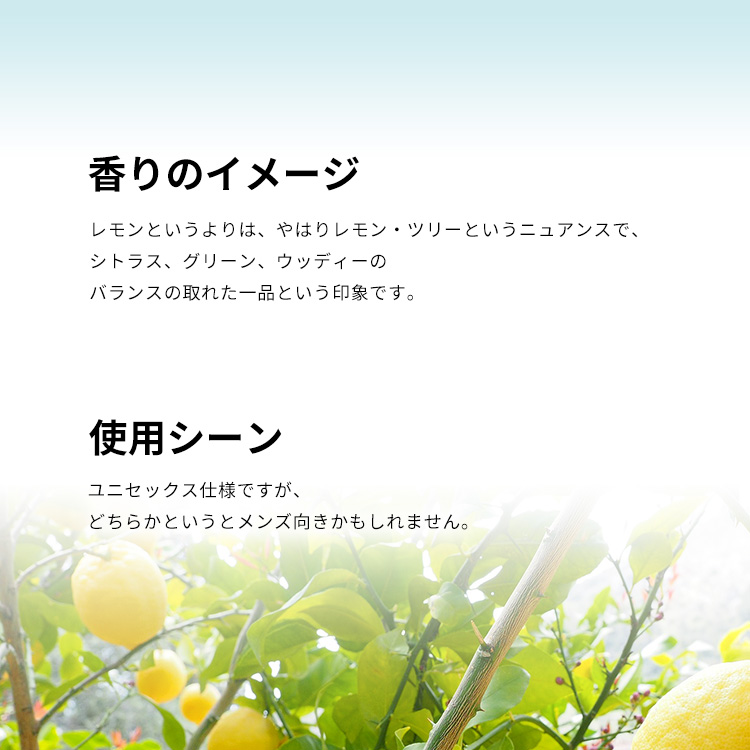 メゾン マルジェラ レプリカ アンダー ザ レモン ツリー EDT・SP 100ml 送料無料 MAISON MARGIELA REPLICA  UNDER THE LEMON TREES EAU DE TOILETTE SPRAY | ブランド,マ行,メ,メゾン マルジェラ / MAISON  MARGIELA | belmo ONLINE